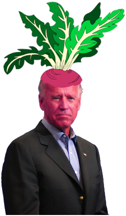 turnip-joe.png