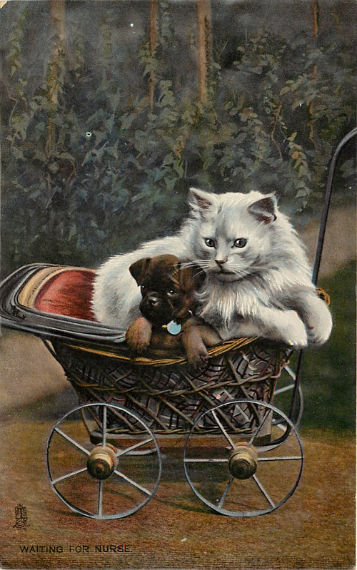 07-2011-05-31-17-33-10-000