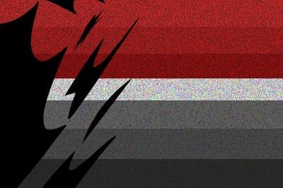 analogixflag