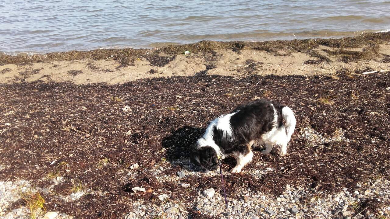 F9FD7370-C829-4BA7-A9F4-CC7195C73FFF