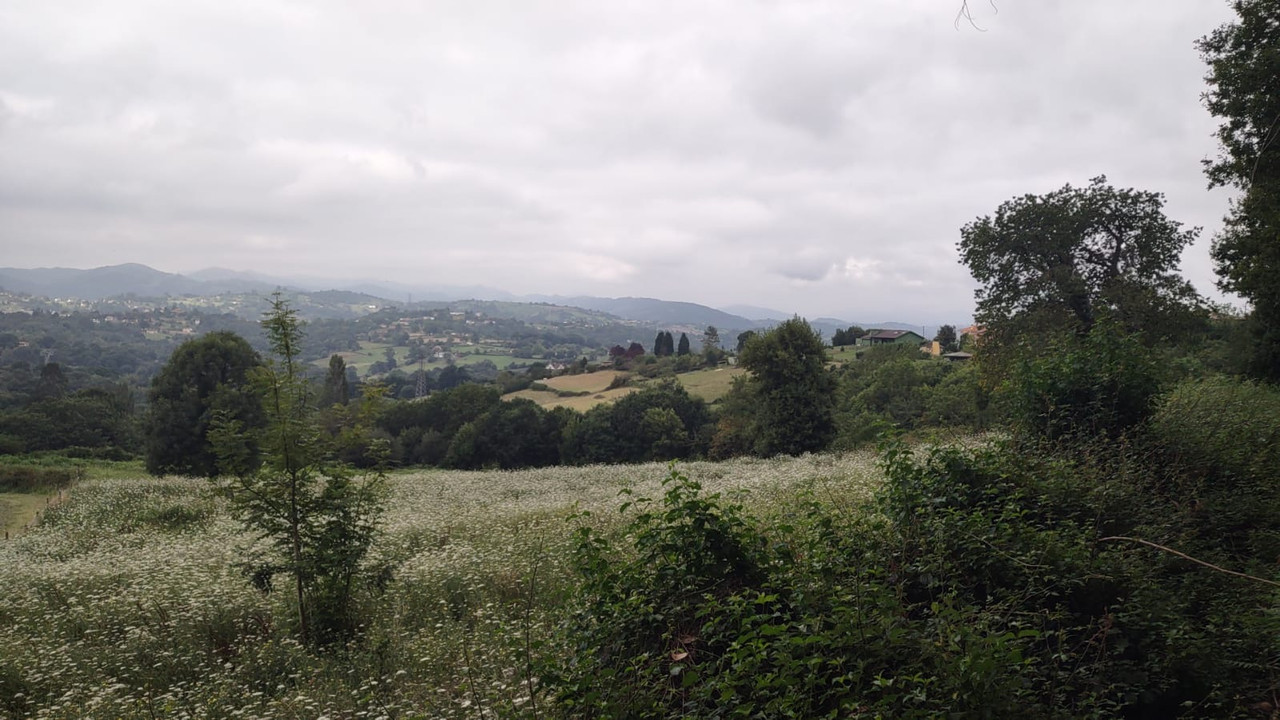 d0fdff94-ab23-4cc1-8112-84dfe7ece5f1