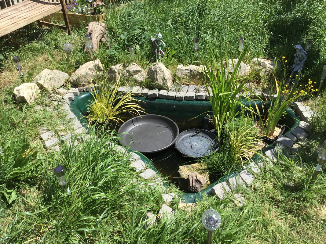 770BBE47-9F77-4501-A705-05290BC14FFE