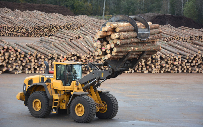 Top 3 Secret Strategies to Boost the Timber Sales Figures for Amateurs