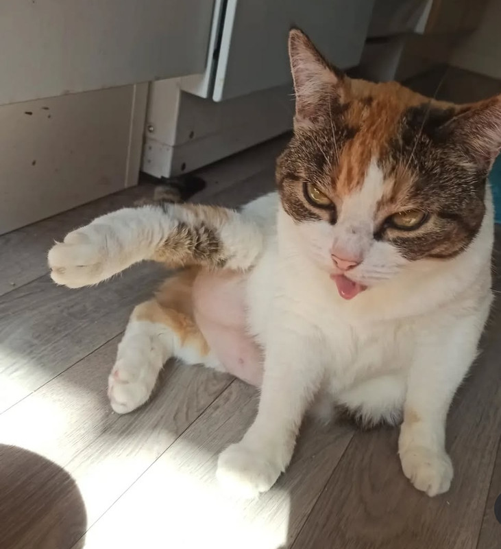 Screenshot_20250727_134206_com_instagram_android_TransparentModalActivity