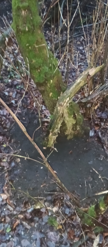 IMG 20251031 170717 865