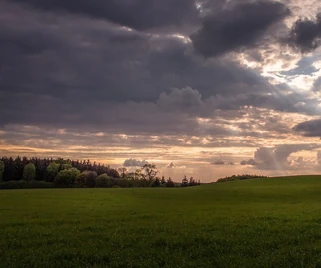 Field-4193125-1280.webp