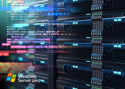 Windows Server, version 20H2 Build 19042.1165