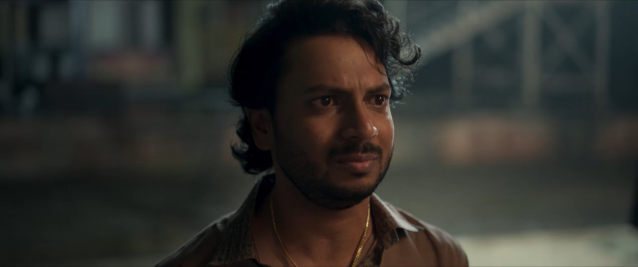 Paradha 2025 WebRip [Hindi + Tamil + Telugu + Malayalam + Kannada] 480p 720p ESub Screenshot