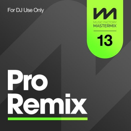 VA - Mastermix Pro Remix Vol.13 (2022)