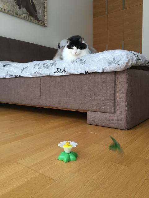 CFC29-A3-D-A9-FA-48-E1-BBD1-D03-CE2-CFBD