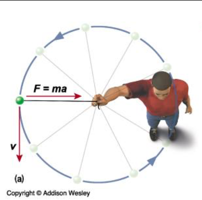 Screen Shot 2022-07-09 at 3.38.34 PM