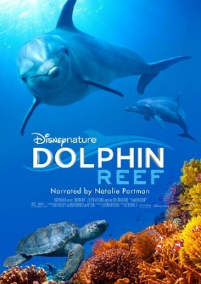 Echo, Il Delfino (2020) DVD5 CUSTOM ITA ENG