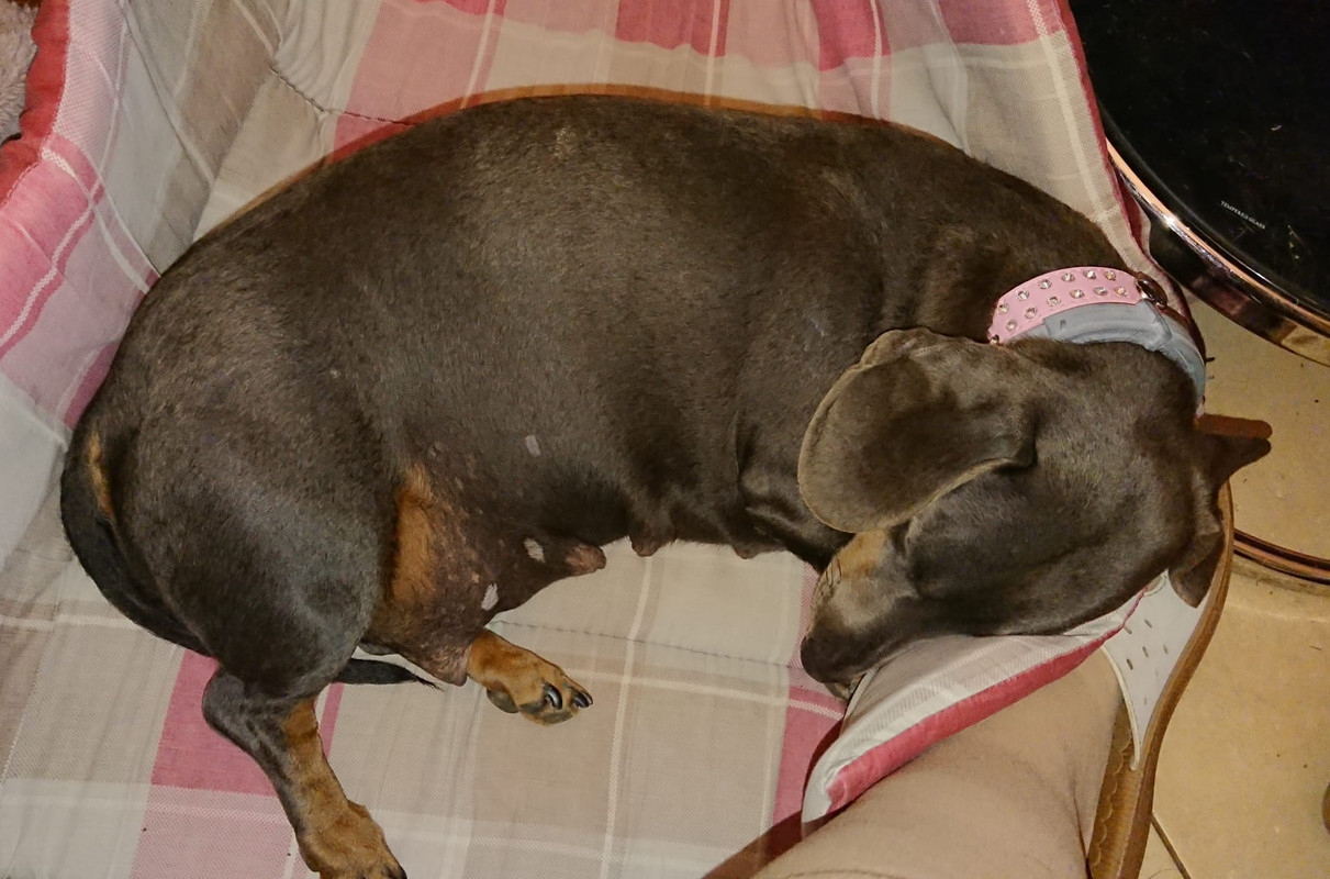 [Image: IMG-20240921-WA0003.jpg]