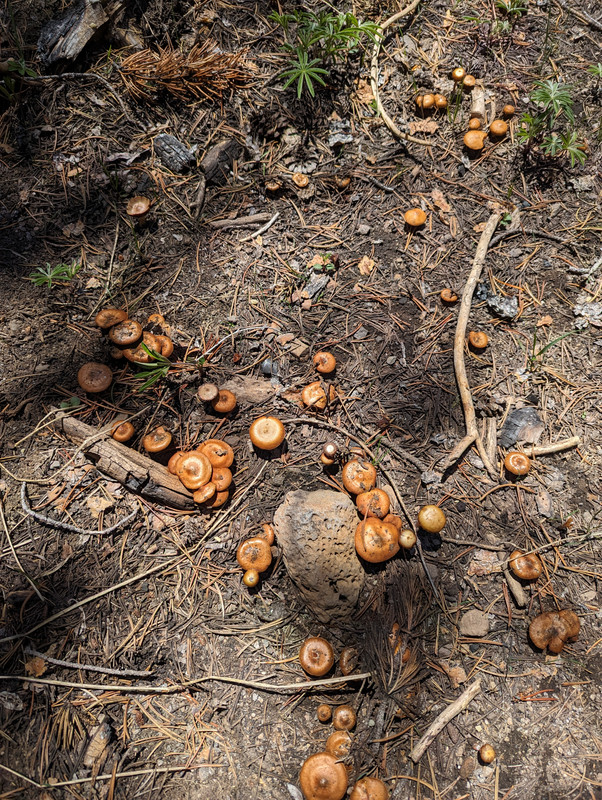 PXL_20250613_204655178