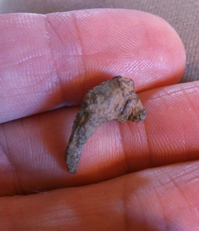 Tiny possible Roman headstud brooch 25042013