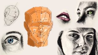 How to Draw the Head  Portrait Drawing - Step by Step 101