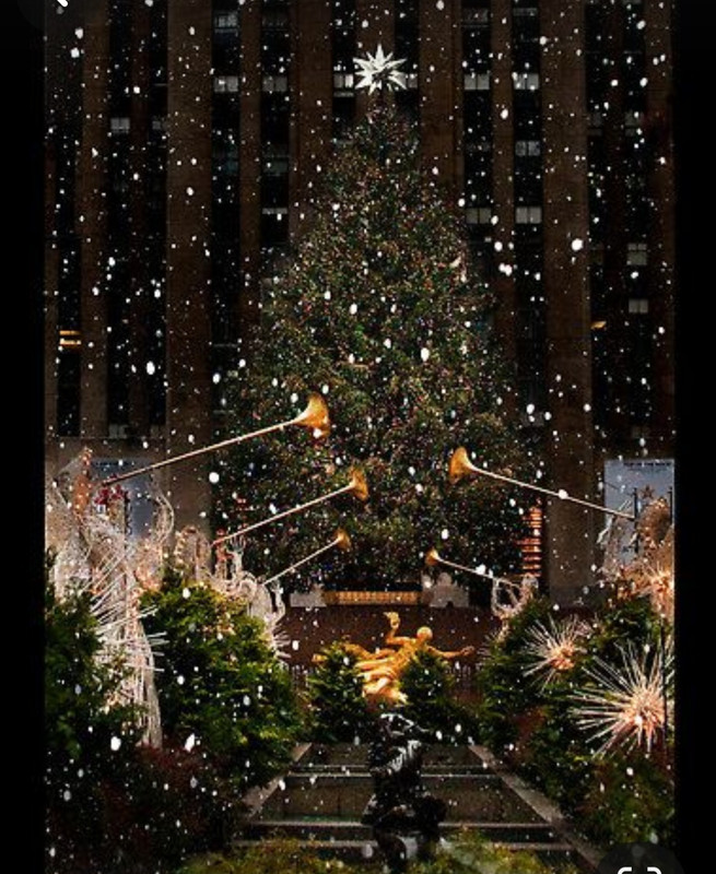 Screenshot_20231211_180420_Pinterest