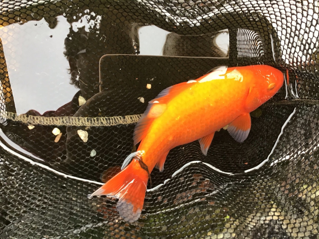 40D595C8-0B98-410E-A532-3262224F8BC4