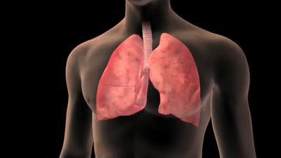 Cuerpo-Humano-3