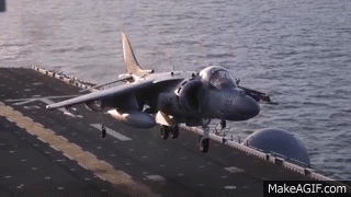 gif.gif
