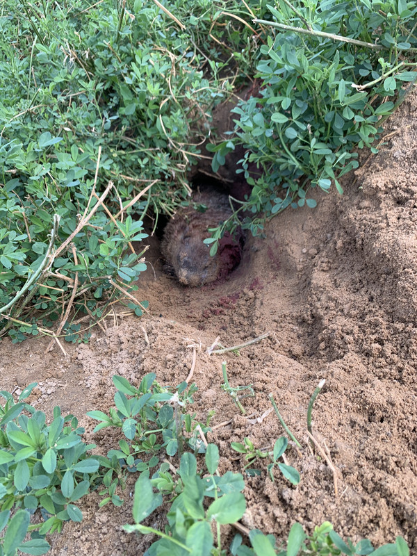 3DAA8409-C6D8-4778-A8AD-D902B42E7F0B