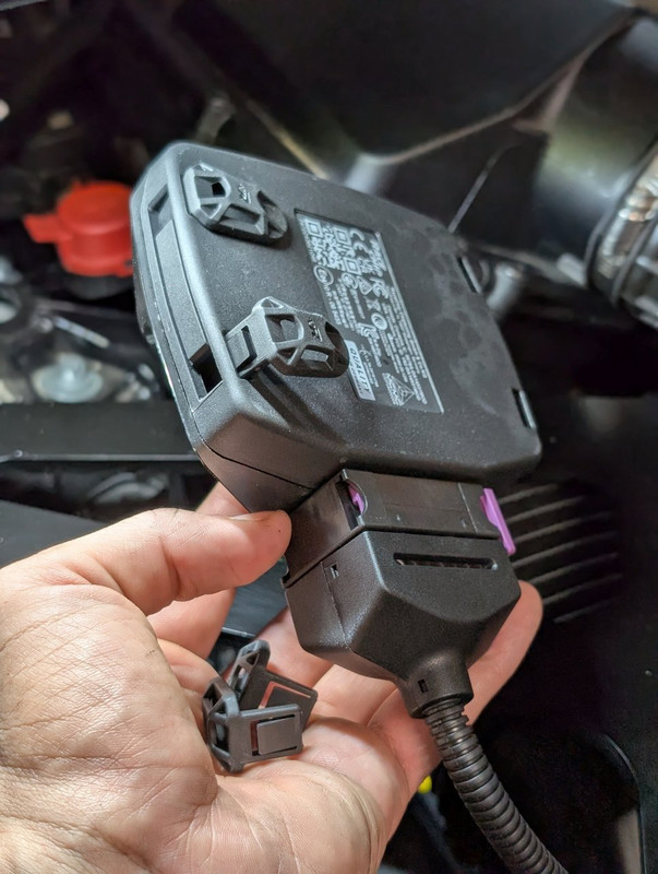 PXL_20250802_191140661.PORTRAIT