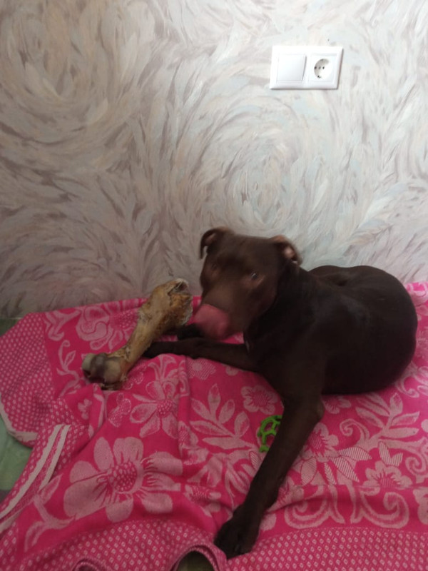 E7F9E6D7-D753-460B-8506-C934DBE48C3A