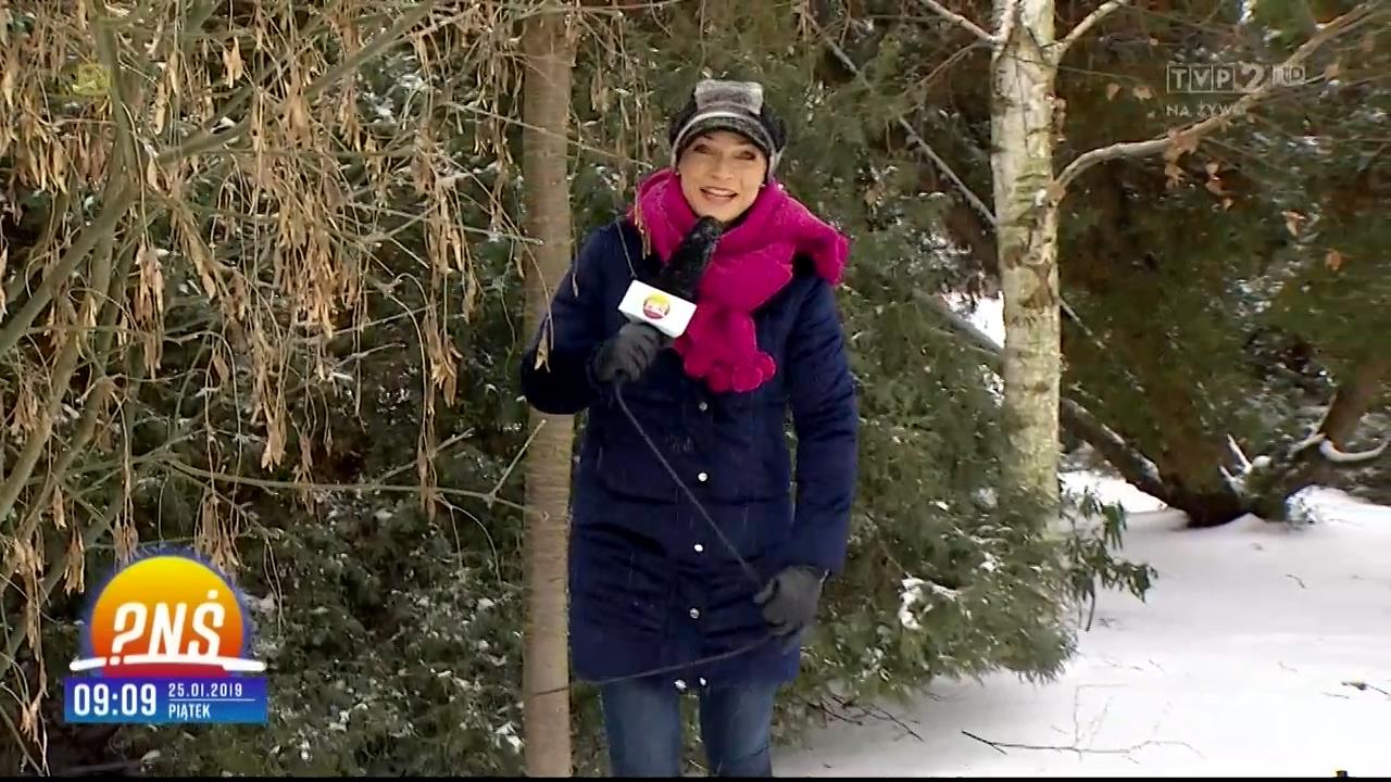 V0323_20190129_162041.mp4_snapshot_00.13_[2019.02.02_13.15.25]