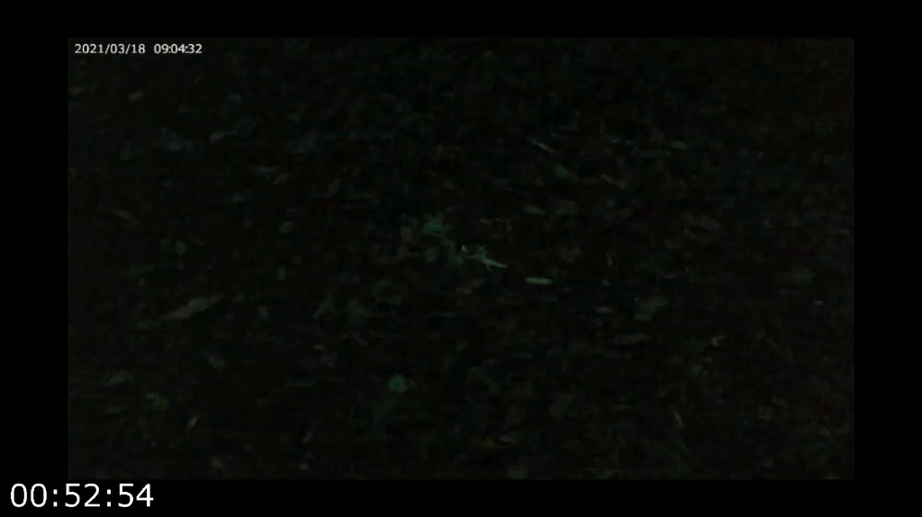 0pmyq9wzfu33.png