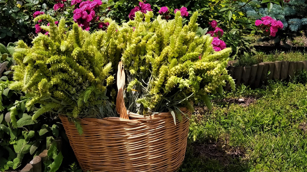 WhatsApp Image 2021-06-23 at 11.59.32 (1)