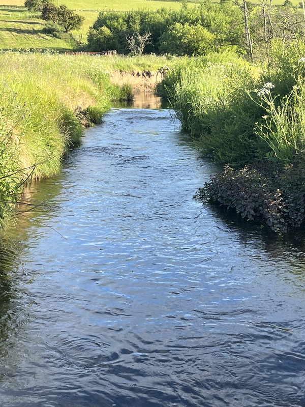 D2A4678A-0DA5-46E8-AE17-7FD37E75CEB5