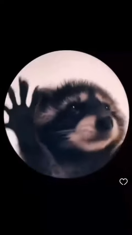 videoframe_700