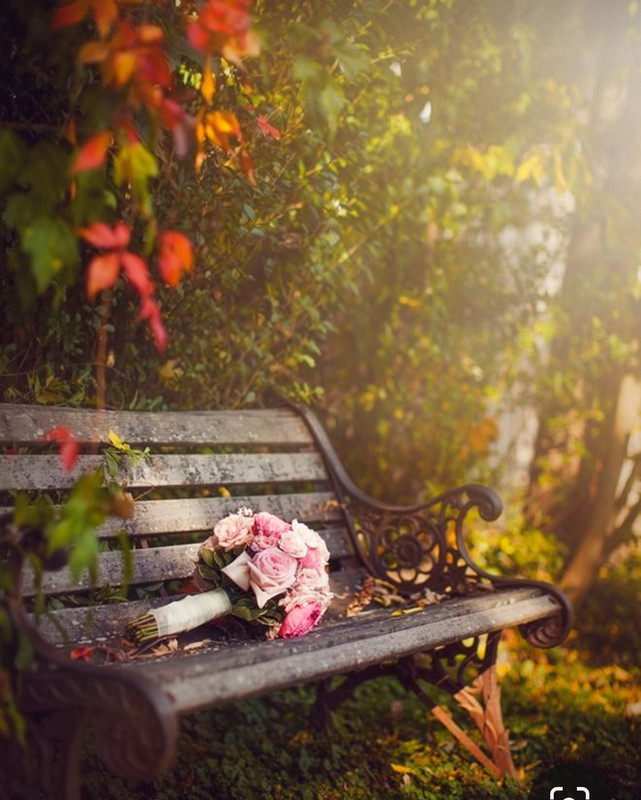 Screenshot_20231115_214207_Pinterest