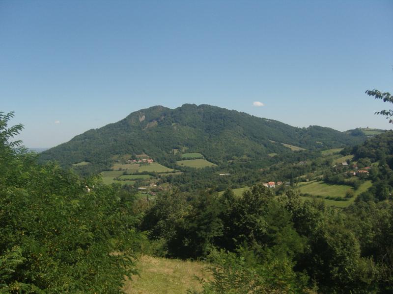 Slika