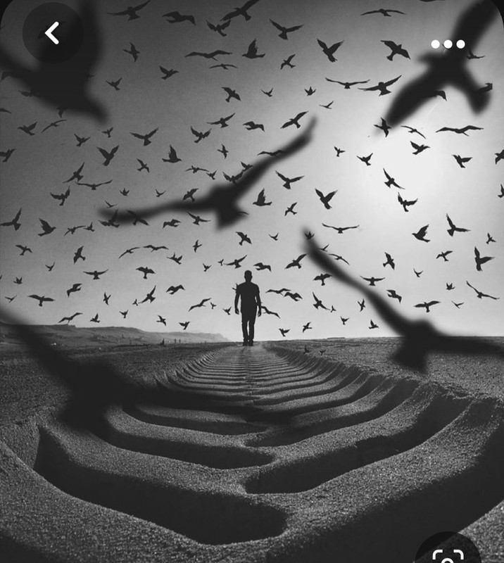 Screenshot_20231008_203408_Pinterest