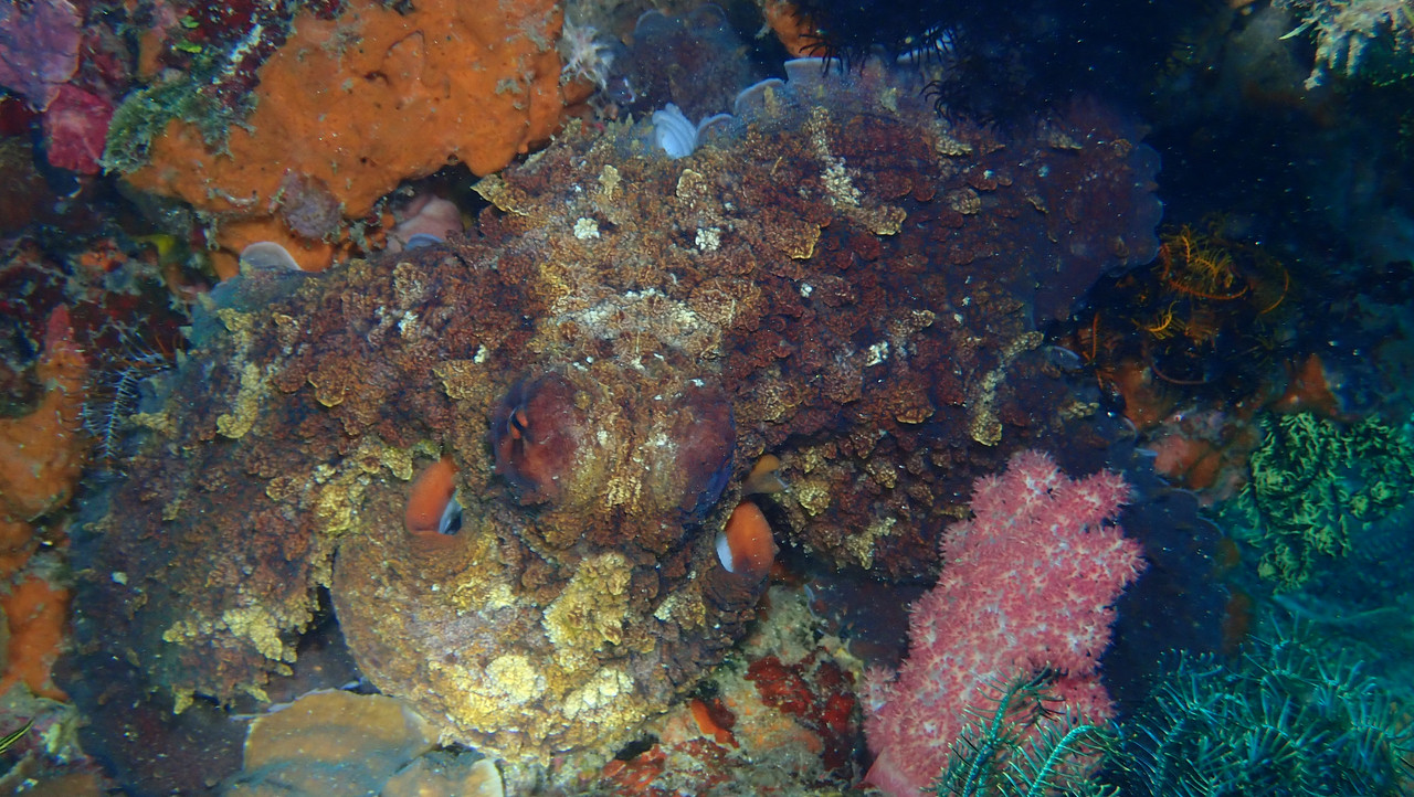 8B9347A3-E620-46B3-99E3-35462A2BD3A0