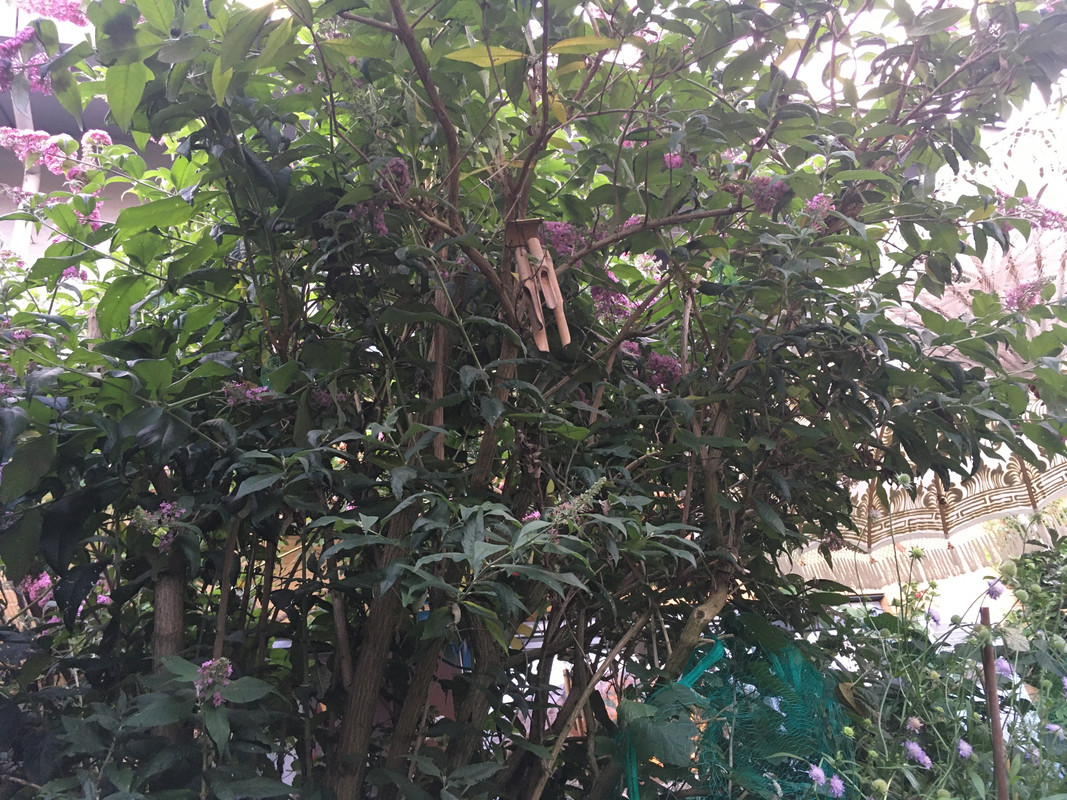 DCC911C8-838C-43E5-A8CC-14FA2DD25266