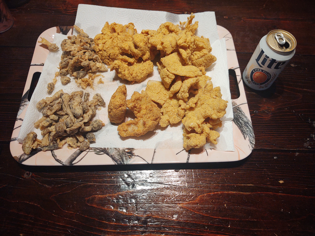 IMG_20200422_191350208