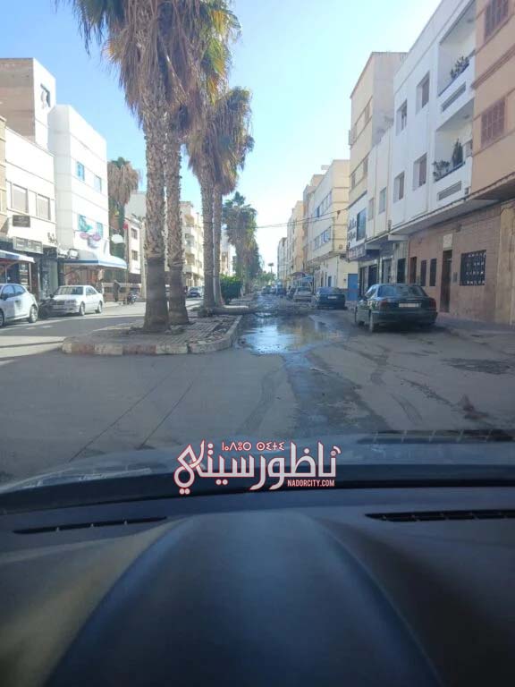 591245571-847780434620134-5249133804617716492-n