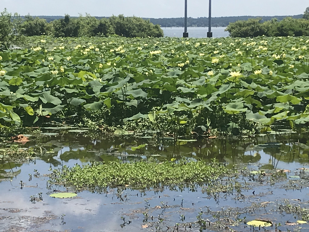 A6FDFE37-58CD-44DD-8D78-E735B5DA0841