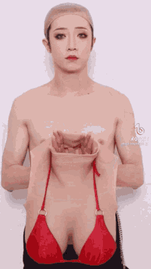 IMG-7246.gif