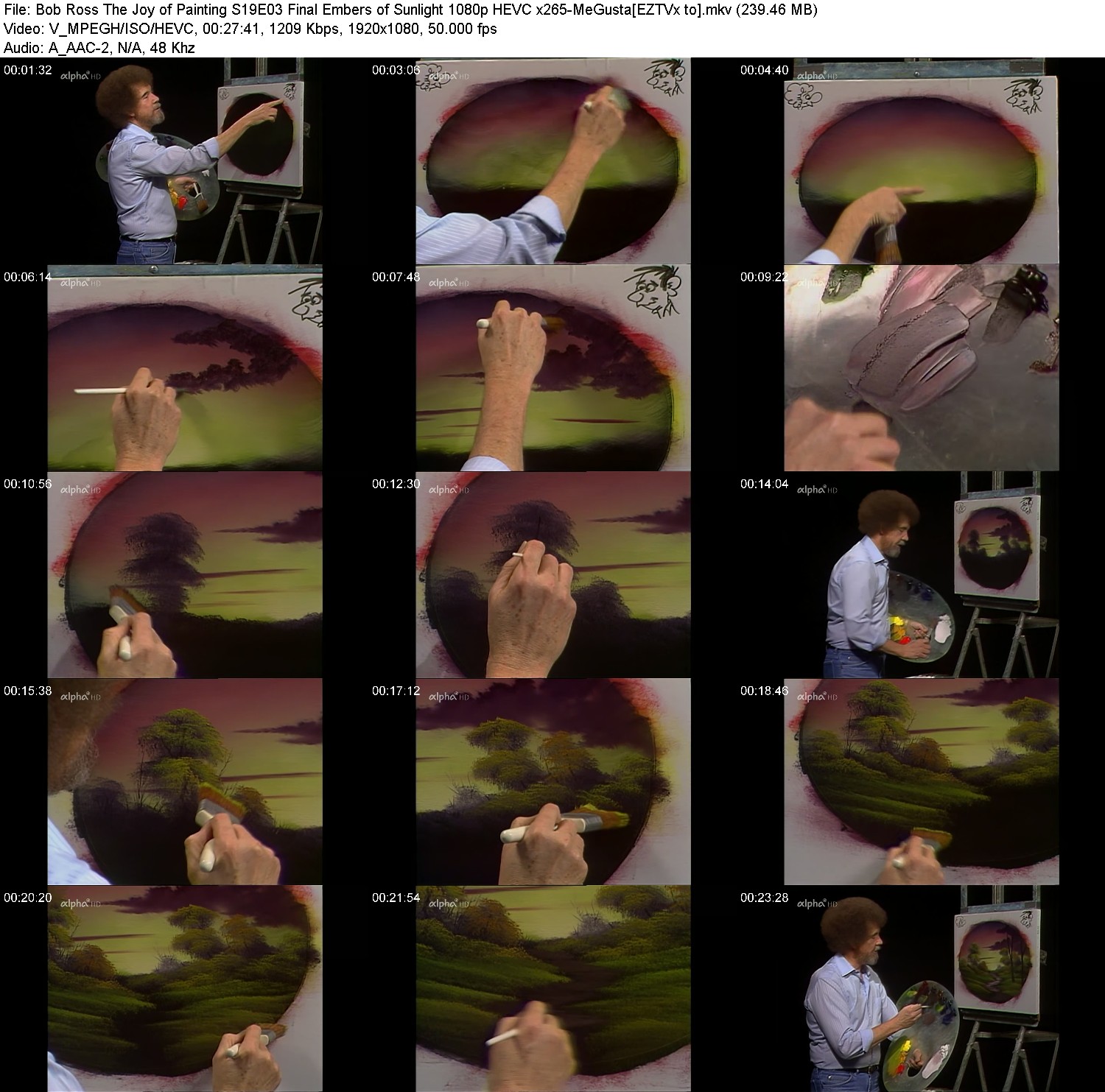 [Image: fv1zj8er0ci1.jpg]