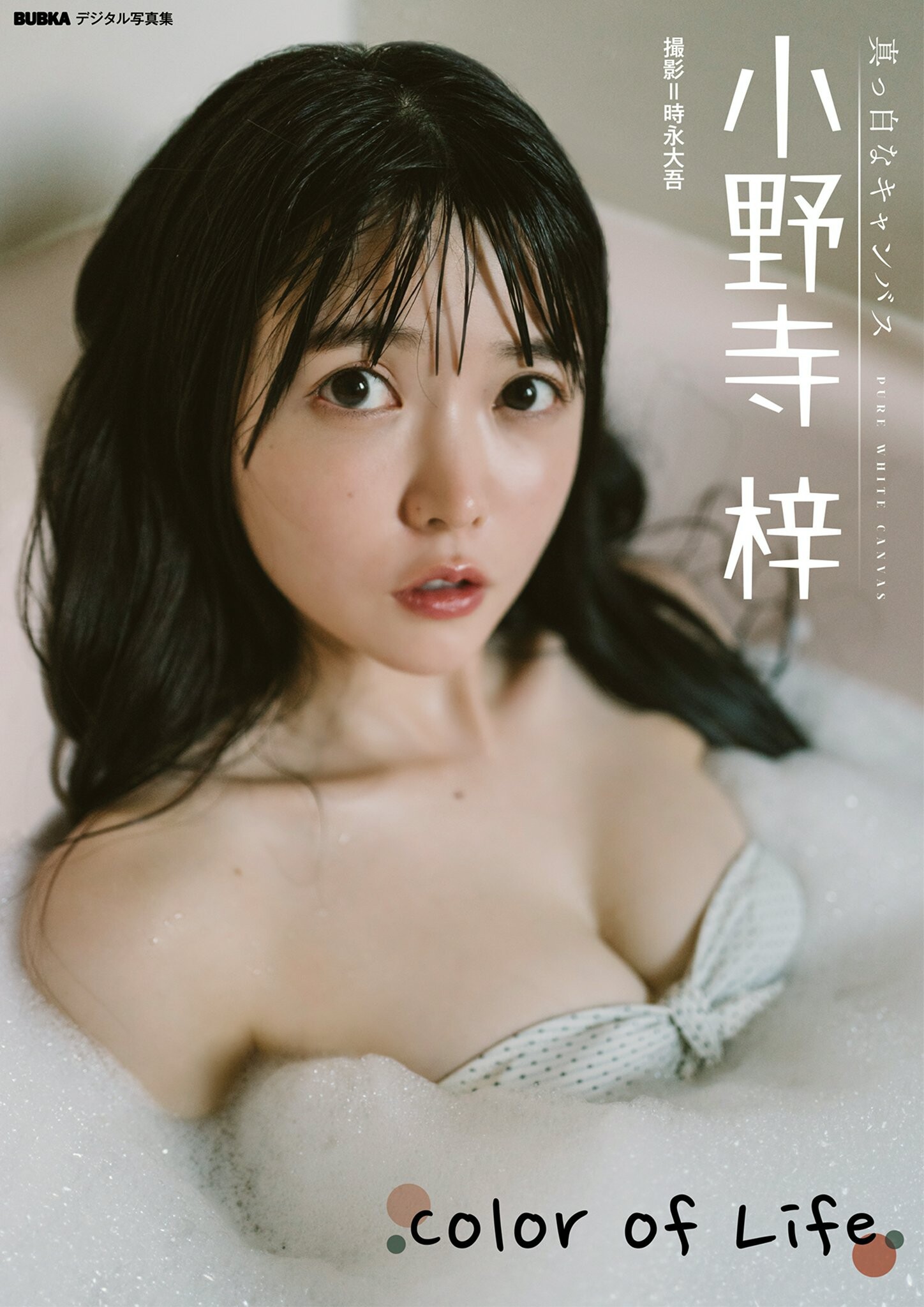 小野寺梓 NO.001「Color of Life」 1