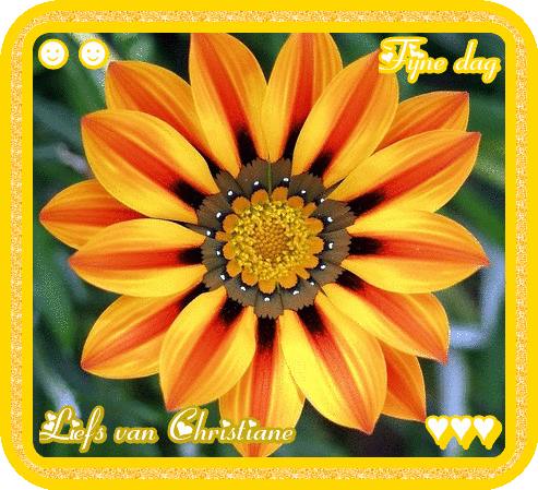 VOOR-EIGEN-BLOGJE-14-SEPTEMBER.gif