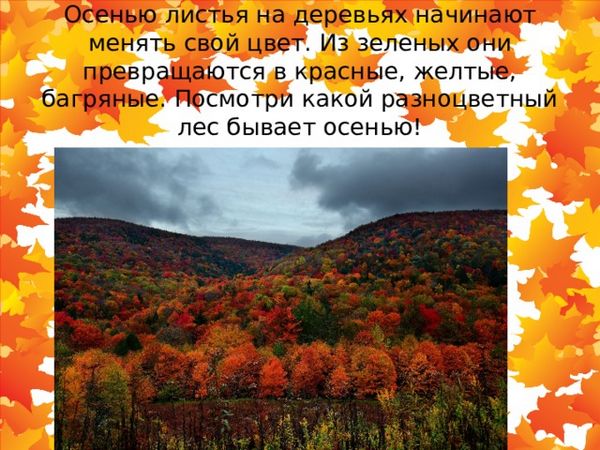 Когда дни становятся все короче а листва на деревьях начинает Когда дни становятся все короче а листва на деревьях начинает