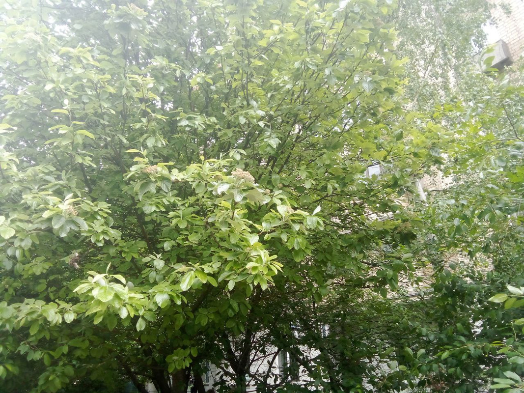 photo_2025-05-17 10.03.39 дп