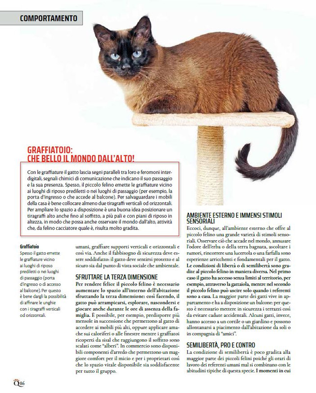 QuattroZampe Dic 2022-Gen 2023 (12)