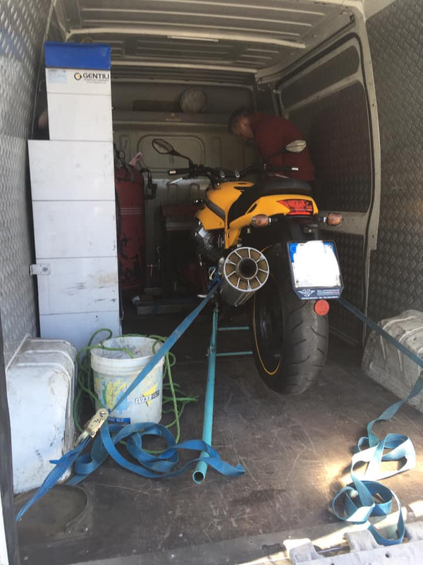 55446930_10216325743190914_7825132269567213568_n