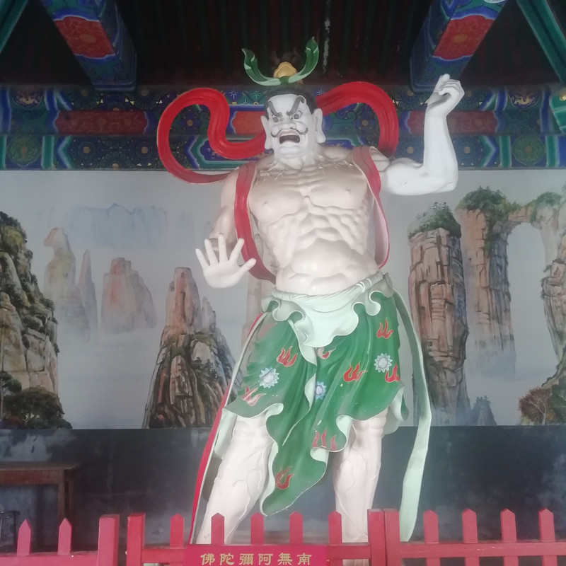 Día 9. ̶P̶a̶r̶q̶u̶e̶ ̶d̶e̶ ̶Z̶h̶a̶n̶g̶j̶i̶a̶j̶i̶e̶ TianMen - China en tren Junio 2025 (2)