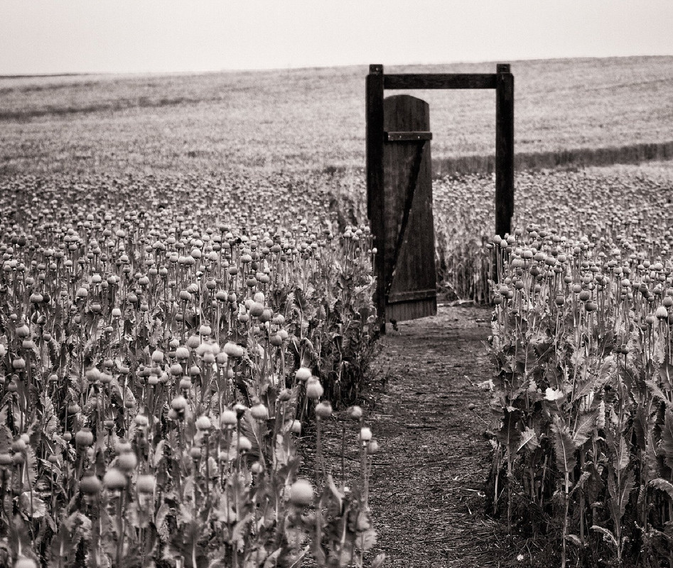 blacknwhite-door-infinity.jpg